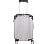 Metallic Upright Expandable Luggage with Tag
